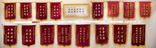 痛失双亲，爱善天使张帆绝境中创立俏妃品牌
