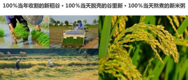 魅力厨房：粥要美味，更要天然安心