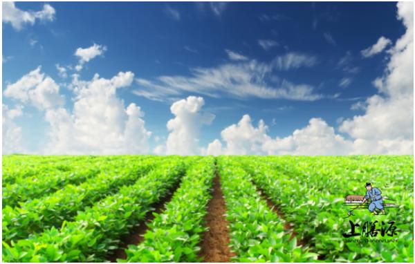 上膳源：有机食品消费首重观念的改变