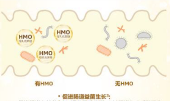 Biostime HMO解锁免疫力奥秘，构造婴幼儿健康堡垒