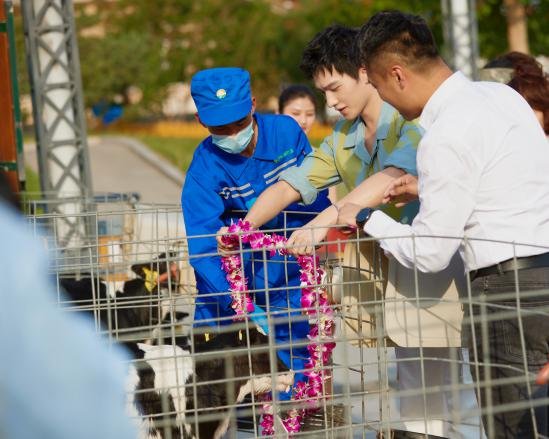 全球首款SGS无添加认证 纯享升级挖掘中国酸奶市场潜力