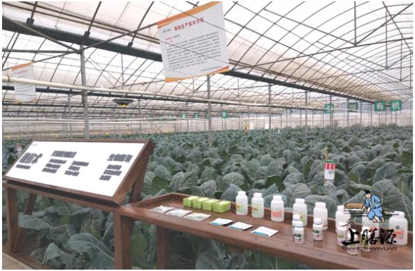 上膳源：有机食品消费首重观念的改变