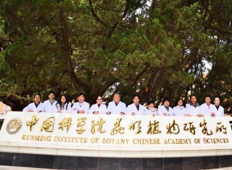 植物医生实力演绎高山植物之美 高山奇迹水解锁清透肌