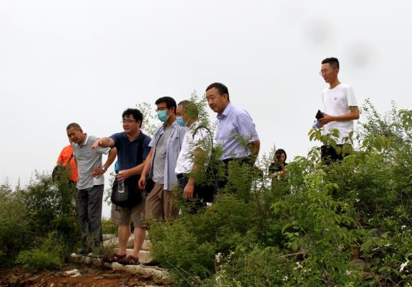 云居寺召开方案咨询会，助推石经山遗址保护与展示工程
