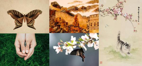 蝶入花海|蝶入花海·华丽绽放，北京国际鲜花港蝶·恋花馆魅力开馆