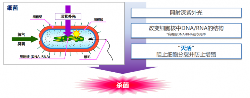 海信中央空调紫光盾医疗级杀菌消毒，除菌率99.9%！