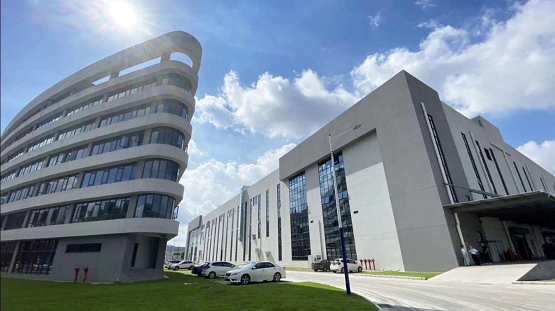 露乐|露乐集团凝心聚力，守护新生，十年为你