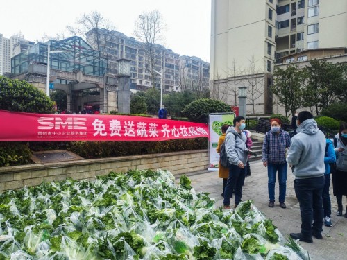 贵州省中小企业服务集团获省慈善总会颁发“抗击疫情·守护家园”突出贡献企业奖
