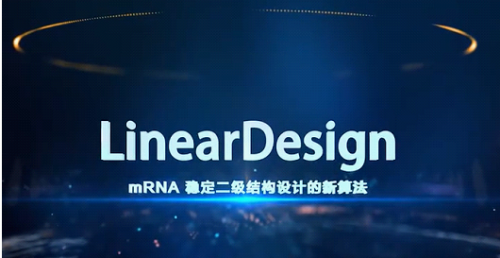 2020|2020中国互联网大会公益盛典表彰五大年度标志性事件 百度AI算法榜上有名