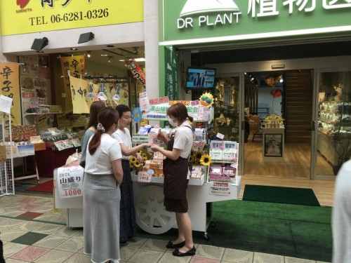 大阪|0背景、0广告入驻大阪心斋桥 植物医生开启国妆出海先例