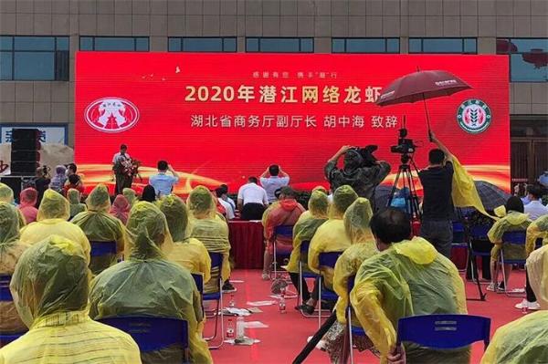 神惊小龙虾人气飙升，711潜江龙虾狂欢节隆重举行
