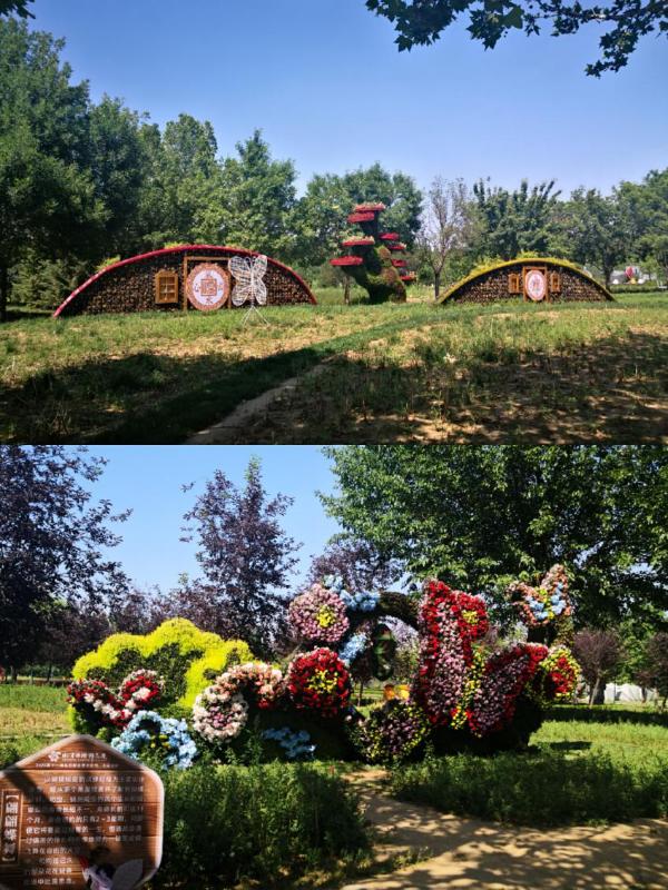 蝶入花海|蝶入花海·华丽绽放，北京国际鲜花港蝶·恋花馆魅力开馆