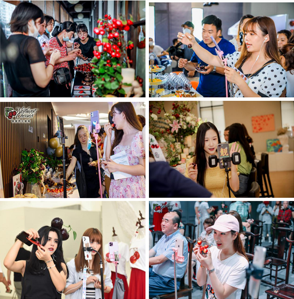 美国西北樱桃|错过这季，就要等一年