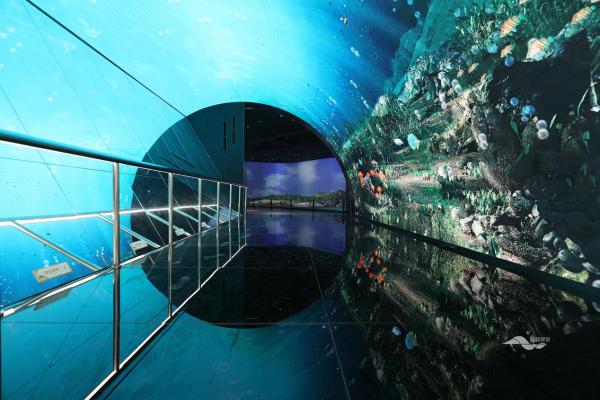 丝路视觉|丝路视觉匠造国网江苏电力体验馆荣获第十二届“祝融奖”二等奖