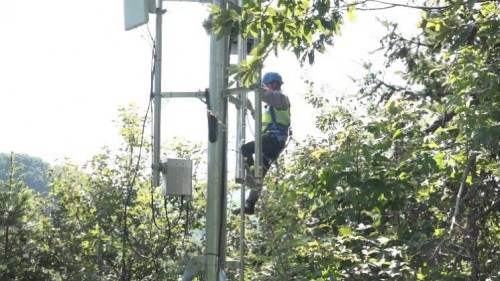 | 土特产成了金疙瘩，空心村成了网红村