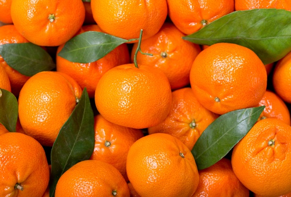 健康吃出来！智利柑橘，鲜活你的每一天