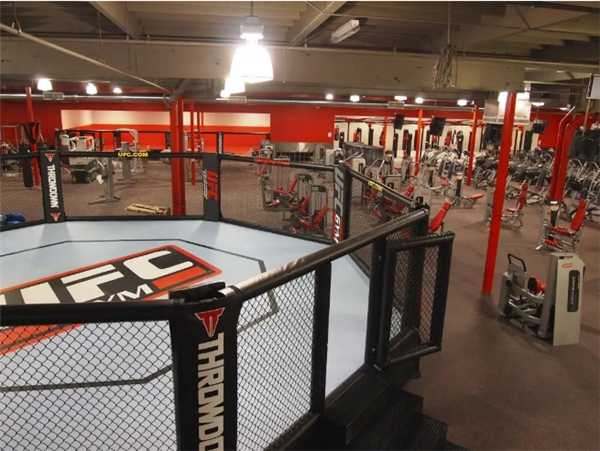 星驰家族|星驰家族新品受青睐 CORE集团助力奥力来中国