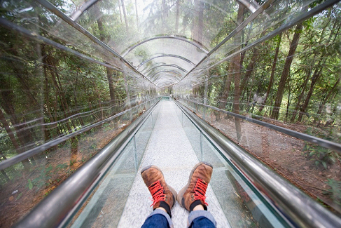 门票直降85% 重庆武隆这个丛林探险胜地绝对值得你冒险！