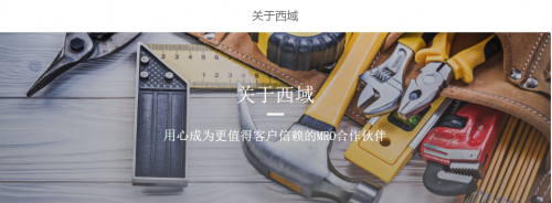 重磅!上海西域中标大唐集团电子商务平台!