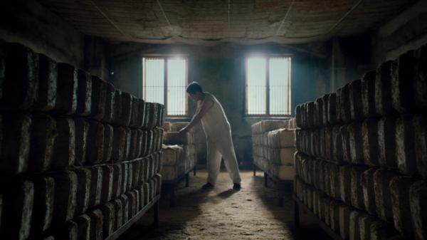 伏天制曲，洋河人守护的绵柔味道