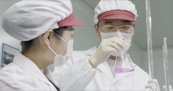 洞庭山启动多品牌战略 破局长三角“百水之战”
