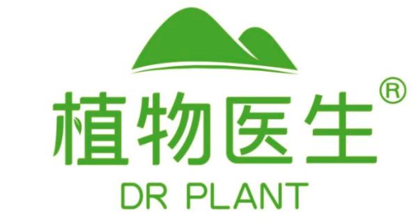 植物|植物医生兰熨斗：守护冻龄的你