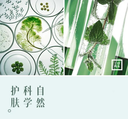 上海传美新工厂落地,三草两木树立国妆行业新标杆