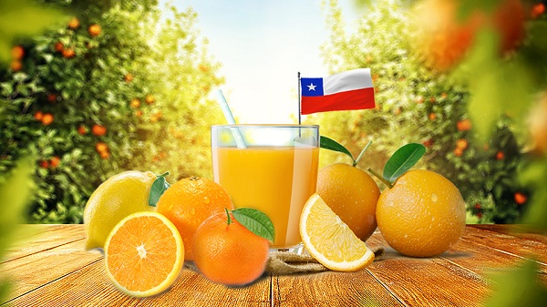 健康吃出来！智利柑橘，鲜活你的每一天