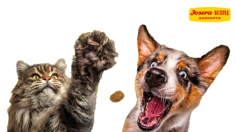 德国优思佳（JOSERA）27个产品获得中国农业部进口登记证书 正式启动一般贸易模式