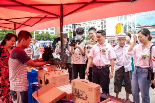 2020年|2020年鹿寨电商节暨直播带货大赛顺利举行