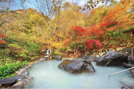 日本红叶季，开启一场陶醉的秋日“红叶云狩”之旅
