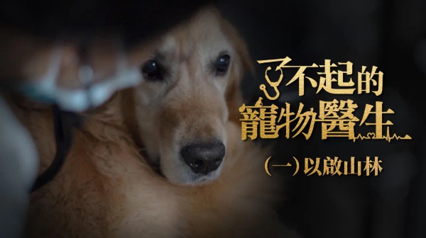 中国宠物行业领域一次里程碑式力作——纪录片《了不起的宠物医生》收官！