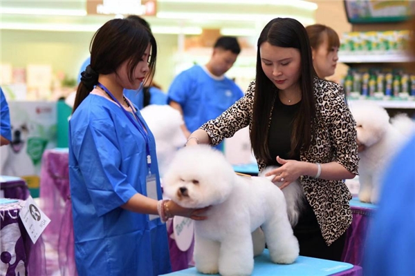 多美洁|多美洁WGA再携手，开启9月宠物美容赛事