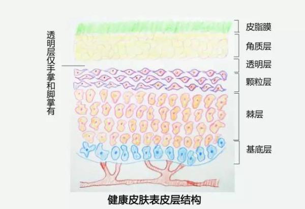 雪玲妃产品怎么样，护肤品研究专家雷胜杰为你解答！