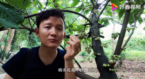 世界上最自由的植物学家——水果猎人杨晓洋