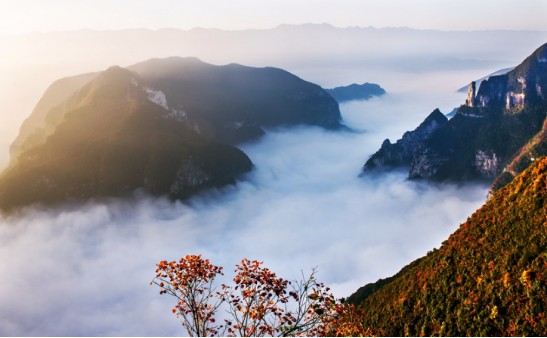 巫山“风光大片”:让你感受什么叫“集颜值与才华于一身”