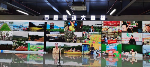 2020“中国农民丰收节”江西活动在赣州于都举行