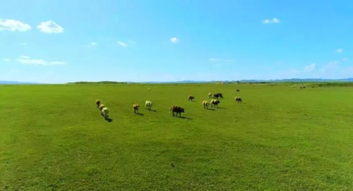 | 叶檀：自绝后路 才有出路！ 中国力量正发出最强音！