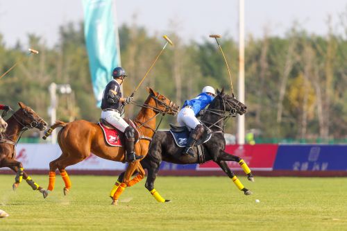 马业名城迎盛会，万马奋蹄逐滹沱 ——2020中国马术节在安平圆满闭幕