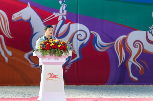 马业名城迎盛会，万马奋蹄逐滹沱 ——2020中国马术节在安平圆满闭幕