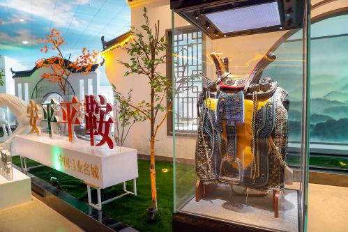 马业名城迎盛会，万马奋蹄逐滹沱 ——2020中国马术节在安平圆满闭幕