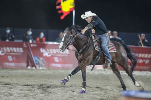 马业名城迎盛会，万马奋蹄逐滹沱 ——2020中国马术节在安平圆满闭幕