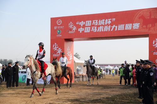 马业名城迎盛会，万马奋蹄逐滹沱 ——2020中国马术节在安平圆满闭幕