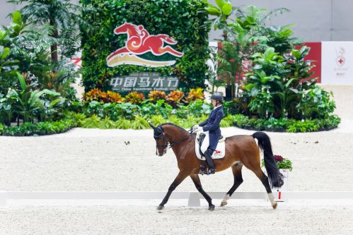 马业名城迎盛会，万马奋蹄逐滹沱 ——2020中国马术节在安平圆满闭幕
