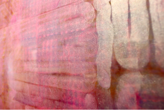 “符信——贾鸿君的笃定与信念”在时间博物馆开幕