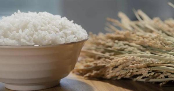 亚洲水稻发源地，傣王稻香米才是真正的好稻米