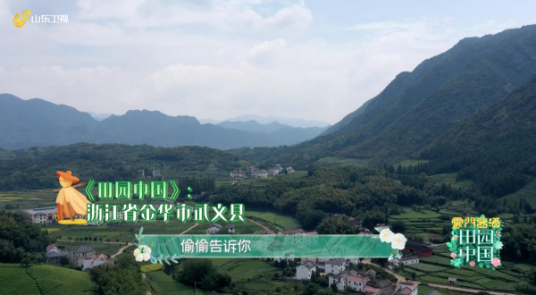 《田园中国》浙江省武义县：耶果外语对歌遭罚酒 吴思嘉婚服登场