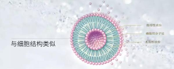 光希脂质体吸收技术——3亿微晶自导入，让肌肤“吃”进护肤品！