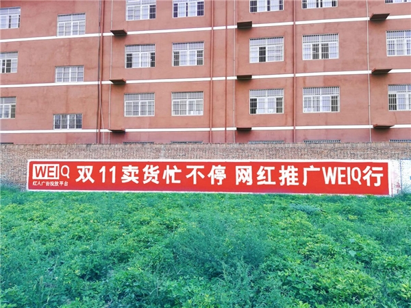  WEIQ双11大促，中小商家999元做网红推广