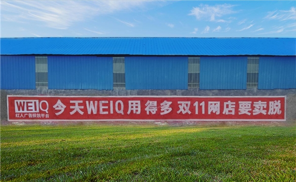  WEIQ双11大促，中小商家999元做网红推广